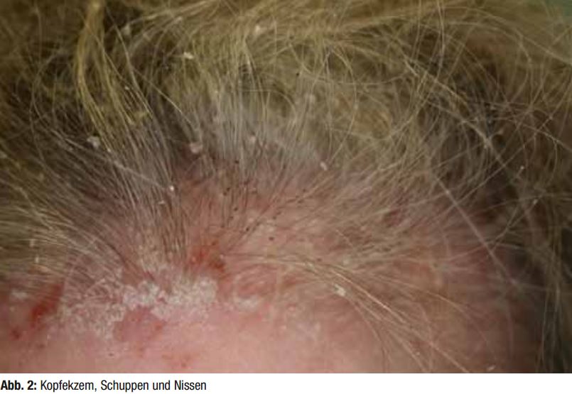 Seite nicht gefunden | MedMedia  width=