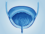 EORTC-Studie 30994: Adjuvante Chemotherapie beim muskelinvasiven ...