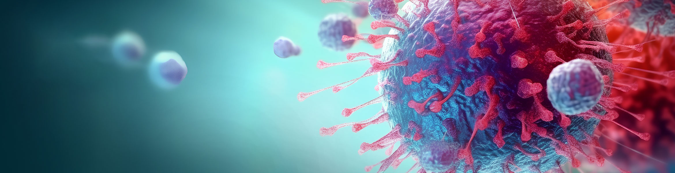 IM FOKUS: Typ-2-Inflammation