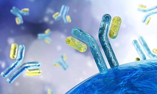 artikel-krebshilfe-dummy