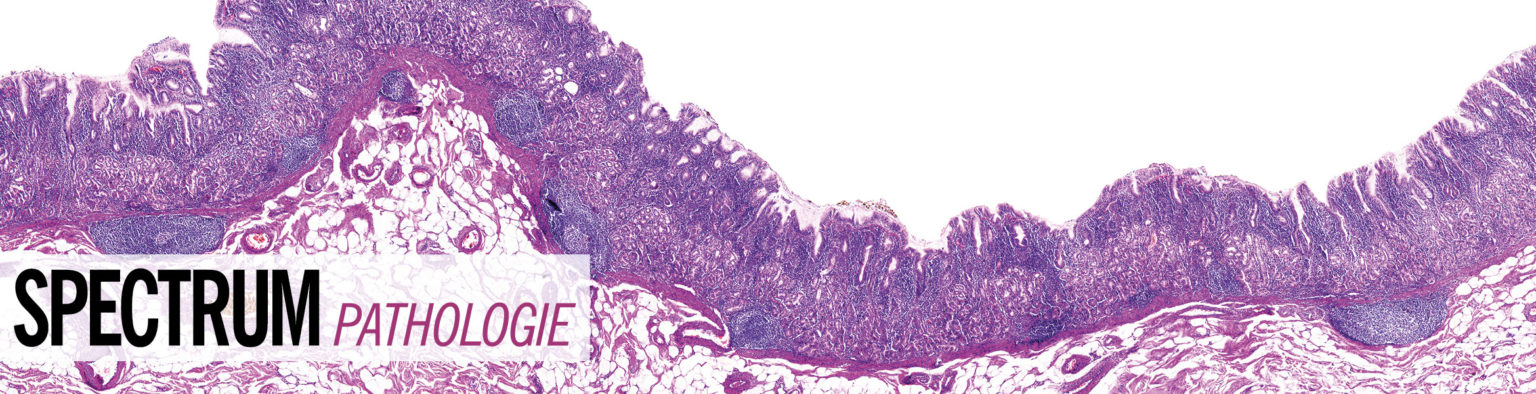 SPECTRUM Pathologie