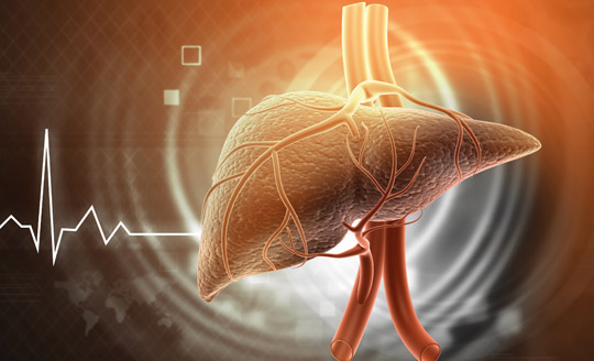 Genetische Modifikatoren bei NAFLD