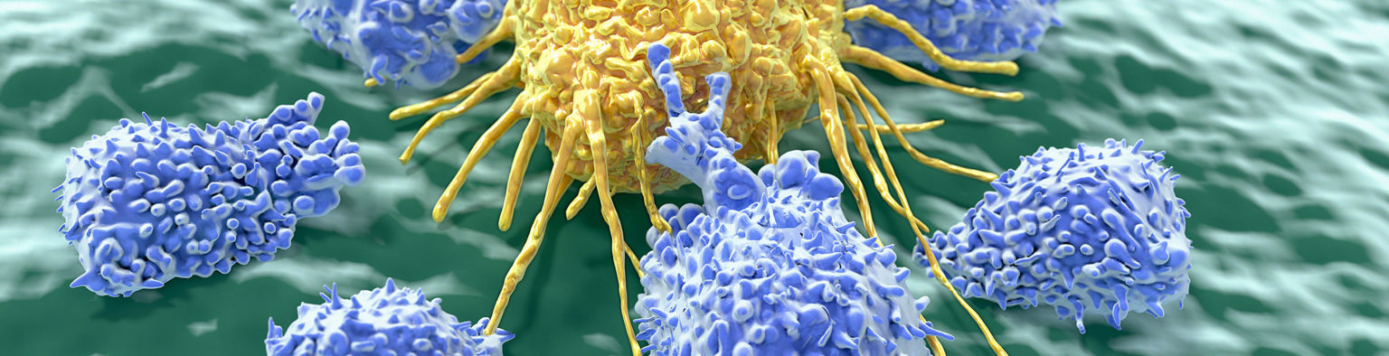 SPECTRUM Immunonkologie | SPIO | ©shutterstock / Juan Gaertner