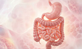 © Tinttrex – stock.adobe.com